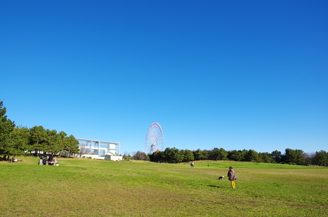 葛西臨海公園の原っぱ