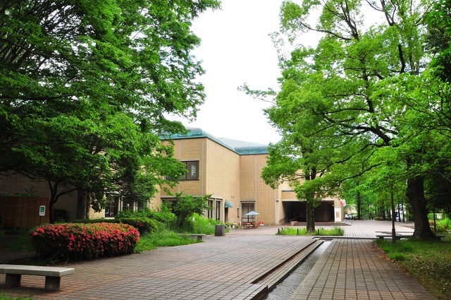 町田市立国際版画美術館