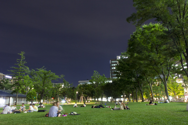 中野・四季の森公園の夜