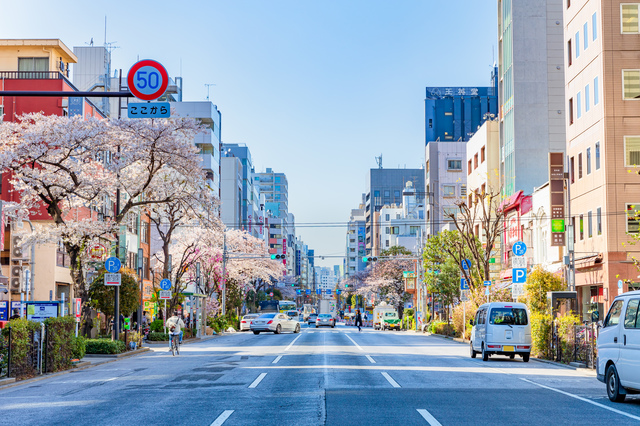 桜が咲く日本橋・人形町