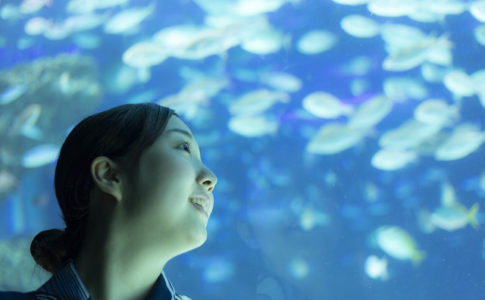 大阪・海遊館を楽しむ彼女