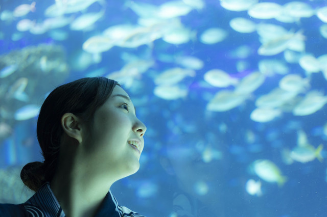 大阪・海遊館を楽しむ彼女