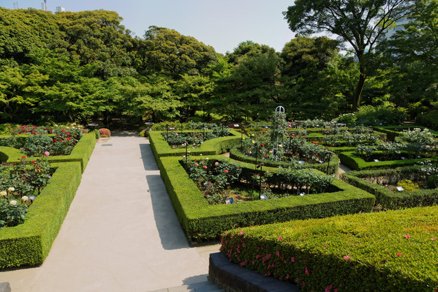 かなり本格的なバラ園