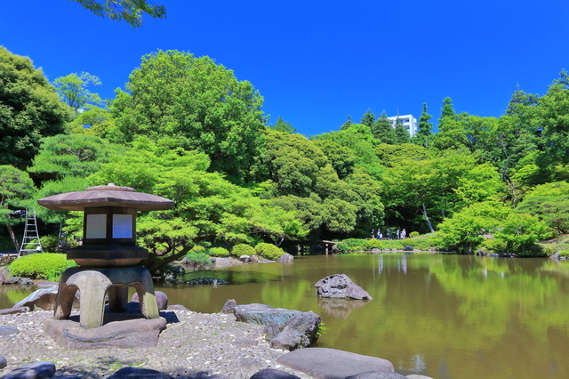 旧古河庭園の日本庭園