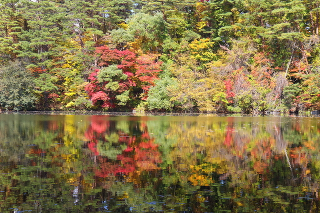 柳沼の紅葉