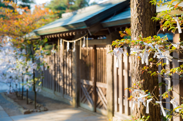 船橋大神宮のおみくじ