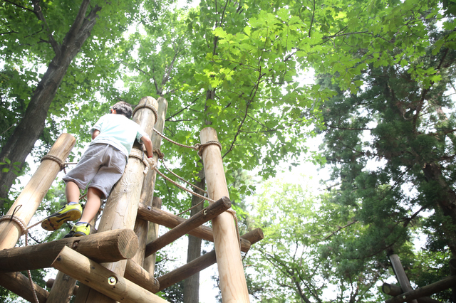 手賀の丘公園（柏）のアスレチック