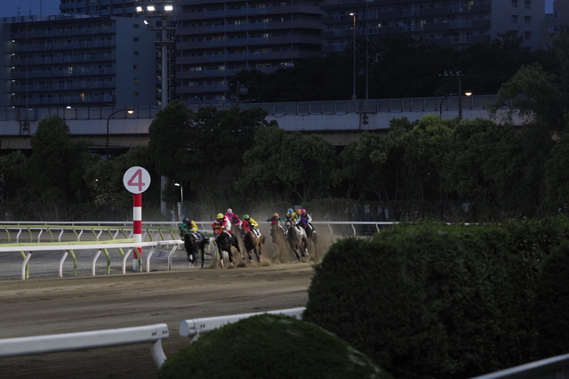 大井競馬場(夜ケイバ)