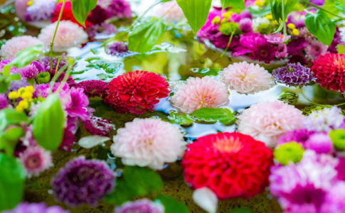 野見神社の花手水