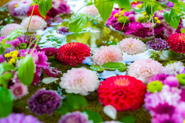 野見神社の花手水