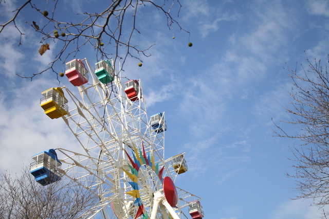 宇都宮動物園遊園地の観覧車