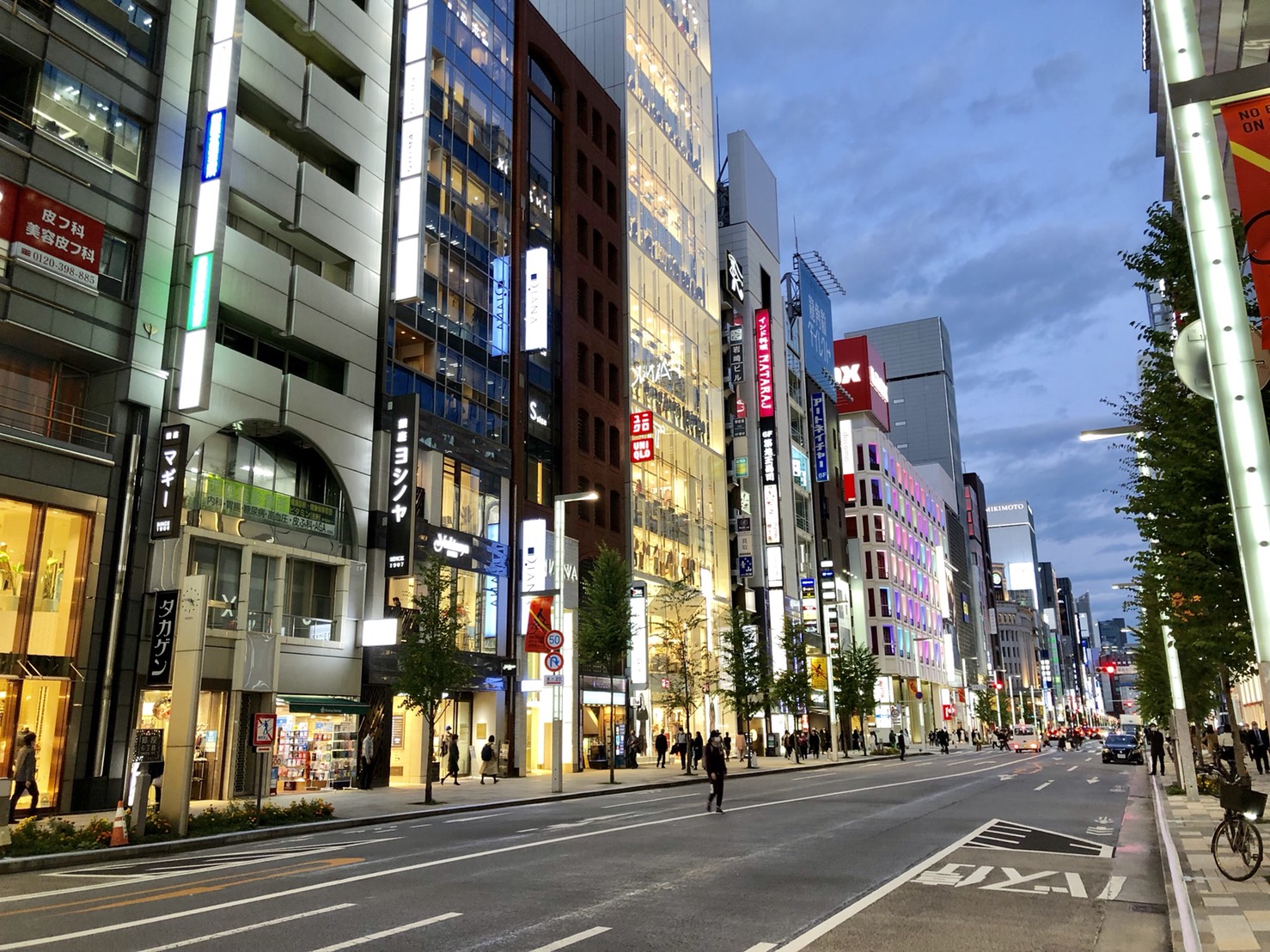 銀座・夜の中央通り