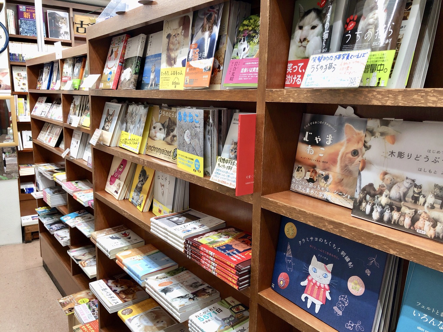 姉川書店（にゃんこ堂）店内