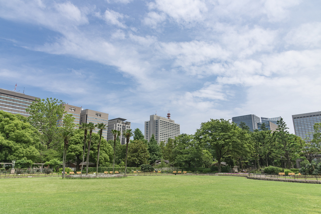 日比谷公園の芝生