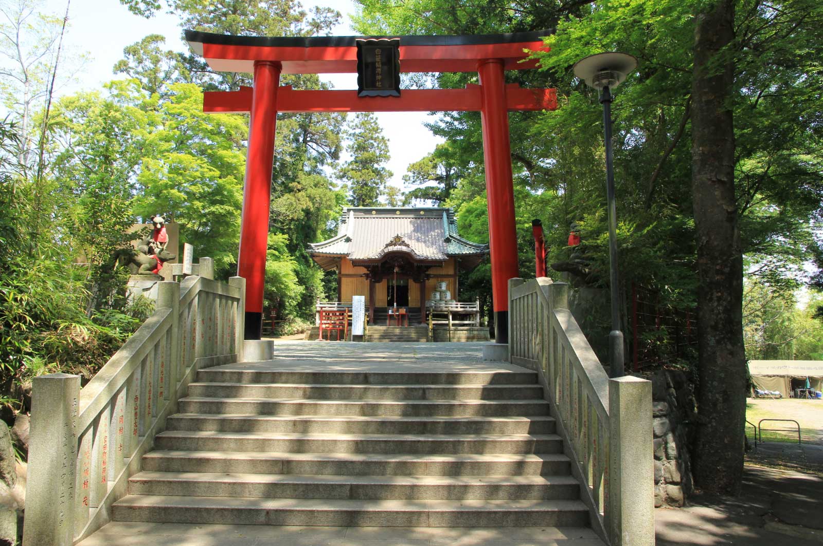 神奈川県秦野市にある「白笹稲荷神社」