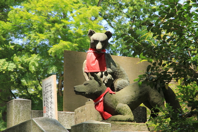 白笹稲荷神社の境内にいた狐