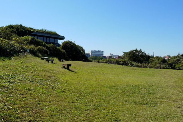 ネイチャーセンター（東京港野鳥公園）