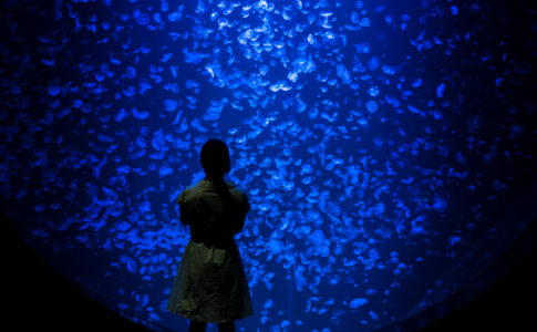 クラネタリウム（加茂水族館）