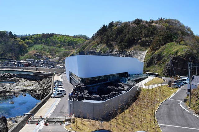 加茂水族館（山形）