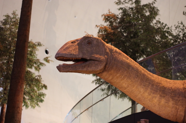 動くシュノサウルス（福井県立恐竜博物館）