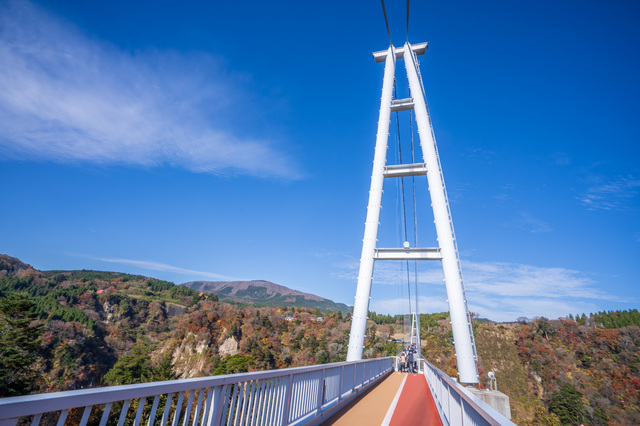 九重“夢”大吊橋