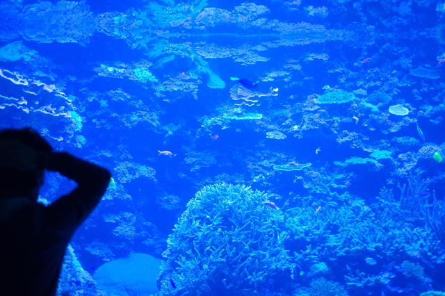 大分マリーンパレス水族館「うみたまご」