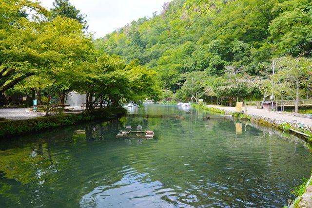 醒井養鱒場（滋賀・米原）