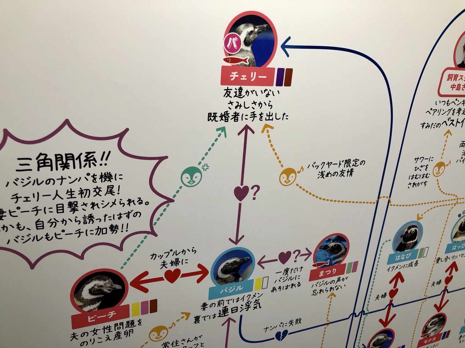 すみだペンギン相関図2021のチェリーの解説