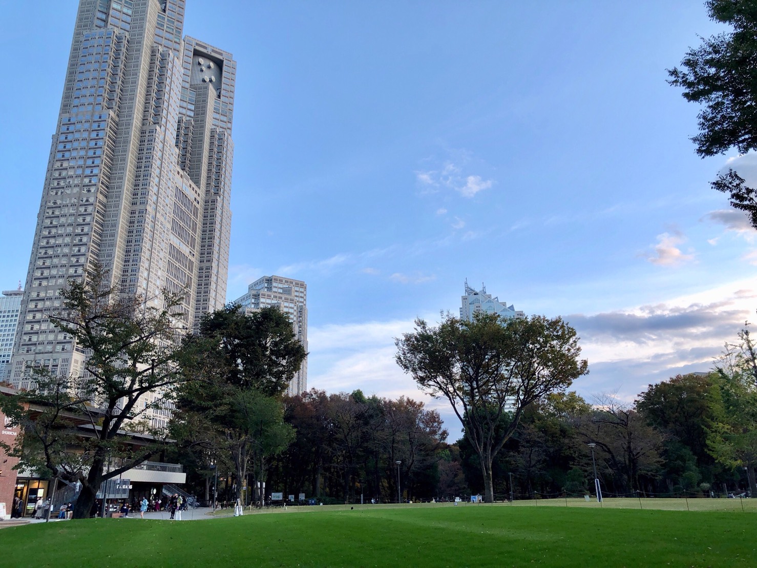 新宿中央公園と都庁