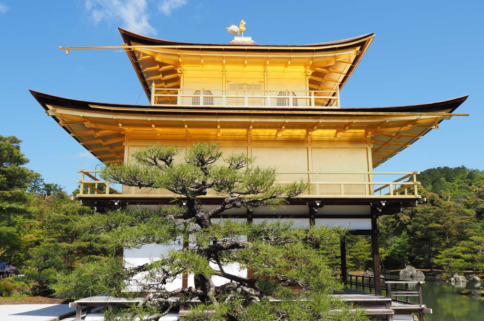 金閣寺（横からのショット）