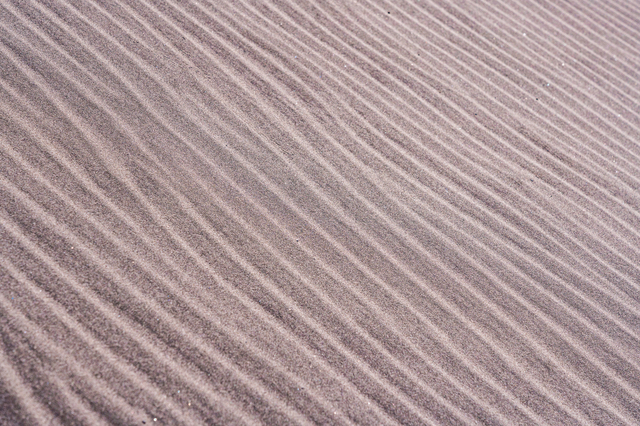 中田島砂丘の風紋