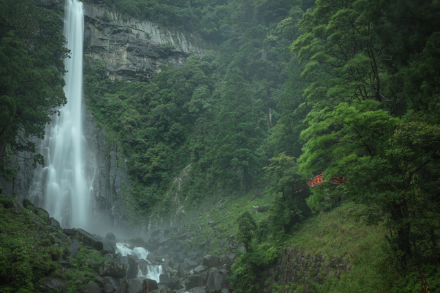 新緑と那智の大滝