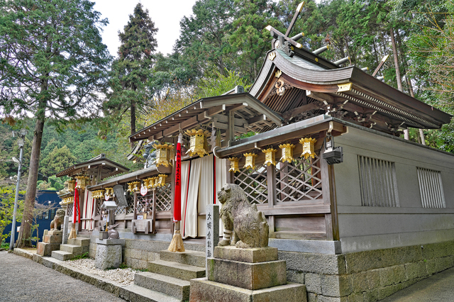 周囲を木々に囲まれた恩智神社