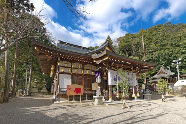 恩智神社（八尾）