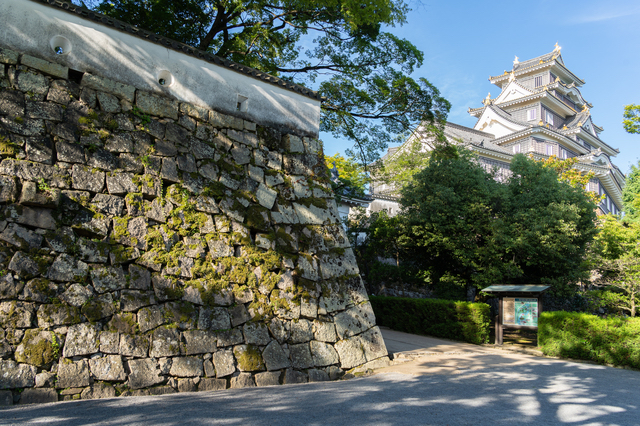 天守閣と石垣（岡山城）