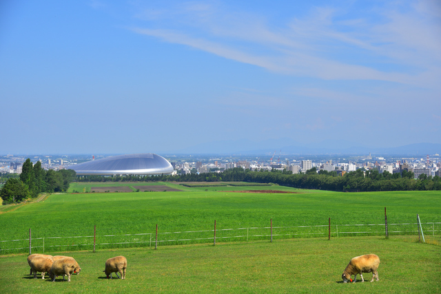 さっぽろ羊ケ丘展望台と札幌ドーム
