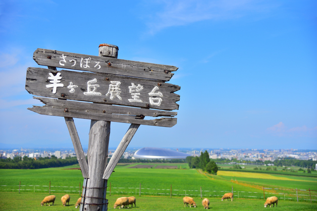 さっぽろ羊ケ丘展望台（立て看板）