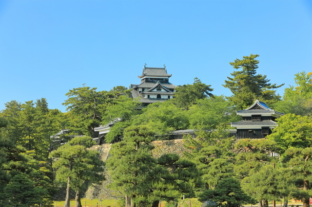 小高い山にそびえる松江城